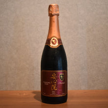 Load image into Gallery viewer, Seiin Winery, Seiin Sparkling Wine Red 2023 750ml
