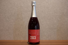 Load image into Gallery viewer, Cantina Hiro The Number of Red Bubbles NV 750ml