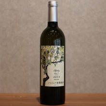Load image into Gallery viewer, Inishie no Sato Vineyard Riesling "Natsu" Altitu.Tsuchi 2023 750ml