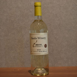 Ikeda Winery, Koshu 2024 750ml