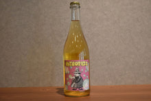Load image into Gallery viewer, INTROFIZZ Petillant 2024 750ml