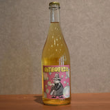 INTROFIZZ Petillant 2024 750ml