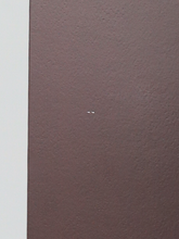 Load image into Gallery viewer, Glen Elgin 12 Years