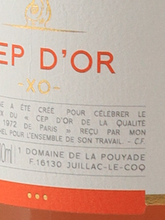 Load image into Gallery viewer, Jean Fillioux Septdor