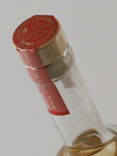 Gusano Rojo