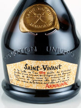 Load image into Gallery viewer, San Vivant VS
