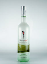 Load image into Gallery viewer, Skinnygirl Cucumber Vodka