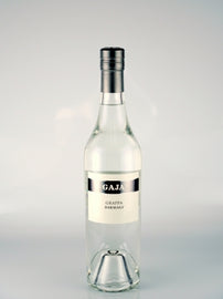 Gaia Grappa Dalmaji