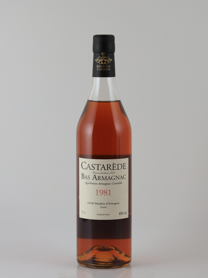 Castarede 1981