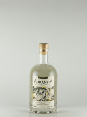 Arancia Handcrafted Gin