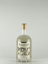 Load image into Gallery viewer, Arancia Handcrafted Gin