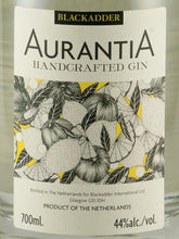 Load image into Gallery viewer, Arancia Handcrafted Gin