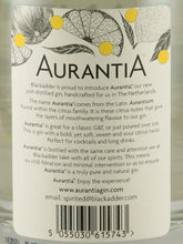 Load image into Gallery viewer, Arancia Handcrafted Gin