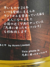 Load image into Gallery viewer, Acorn Secret Island 13 Year Old 2008 for Morutoya
