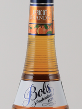 Load image into Gallery viewer, Bols Apricot Brandy
