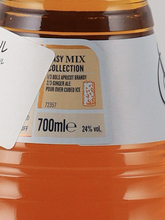 Load image into Gallery viewer, Bols Apricot Brandy