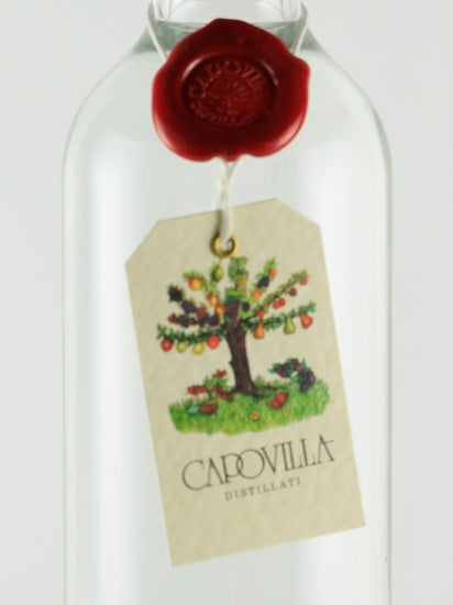 Capovilla Grappa Amarone 2009