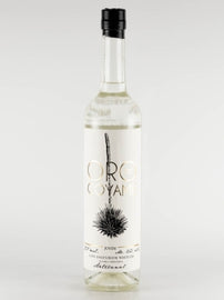Sotol Oro de Coyame Chihuahua