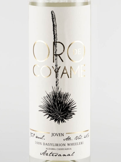Sotol Oro de Coyame Chihuahua
