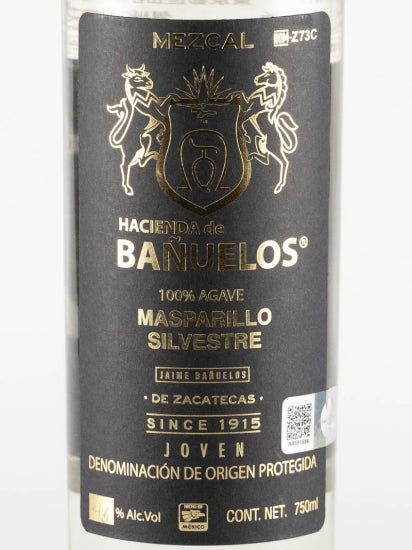 Hacienda de Banuelos Mascariego
