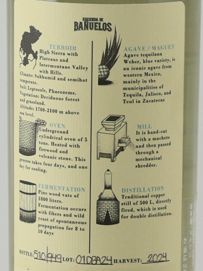Hacienda de Banuelos Tequilana