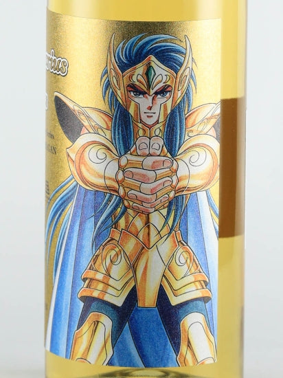 Saint Seiya Gold Saint Series Aquarius Camus