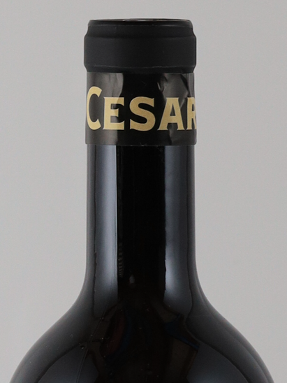 PIO CESARE Barolo Chinato