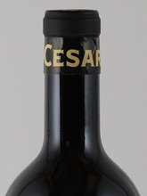 Load image into Gallery viewer, PIO CESARE Barolo Chinato