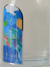 Load image into Gallery viewer, Non Non-Alcoholic Spirits Blue Paradise 500ml