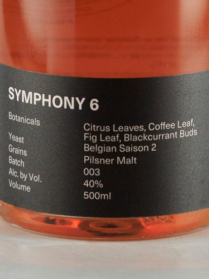 Empirical Symphony Six