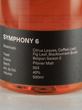 Load image into Gallery viewer, Empirical Symphony Six