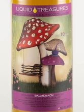 Load image into Gallery viewer, Liquid Treasures Balmenach 10 Year Old 2012