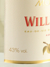 Load image into Gallery viewer, Morin Williamine