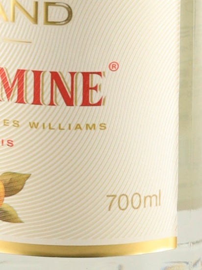Morin Williamine