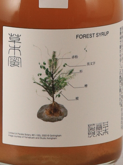 Kusamitsu Forest Syrup
