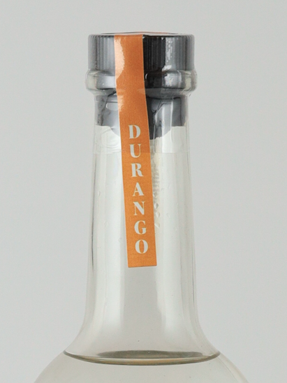 Derrumbes Durango