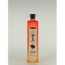 Load image into Gallery viewer, Craft Gin Setouchi Amanatsu