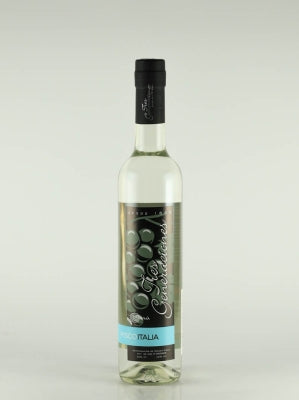 Pisco Italia