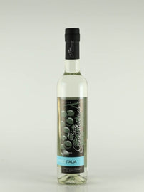Pisco Italia