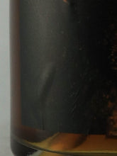 Load image into Gallery viewer, Ryukyu Cinnamon Golden Liquor 500ml