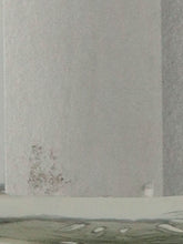 Load image into Gallery viewer, AKAYANE Ginger Spirits 720ml