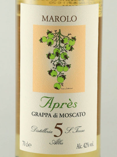Marolo Apres 5 Years Old