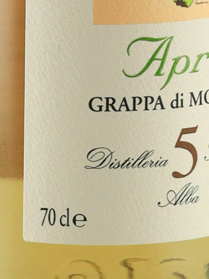 Marolo Apres 5 Years Old