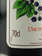 Load image into Gallery viewer, Monin Cassis Syrup 700ml
