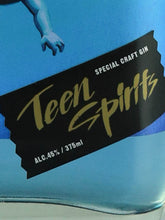 Load image into Gallery viewer, Teen Spirits 375ml