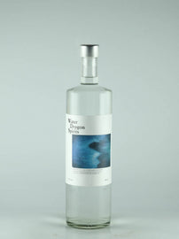 Water Dragon Spirits