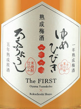 Load image into Gallery viewer, Aged Umeshu The FIRST