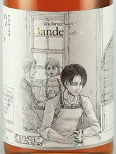 Load image into Gallery viewer, Attack on Titan Original Art Bottle Umeshu 2-Bottle Set
