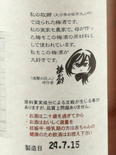 Load image into Gallery viewer, Attack on Titan Original Art Bottle Umeshu 2-Bottle Set