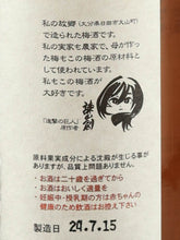 Load image into Gallery viewer, Attack on Titan Original Art Bottle Umeshu 2-Bottle Set